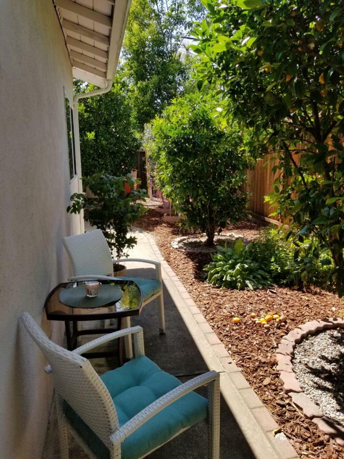 Luxury 2Br/1Ba Oasis In San Jose Ca别墅 外观 照片